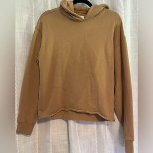 Abercrombie & Fitch Cropped Hooded Sweatshirt